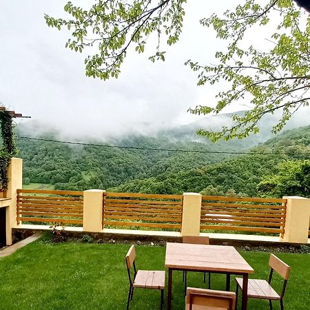 Dilivita Rest House 딜리잔 외부 사진